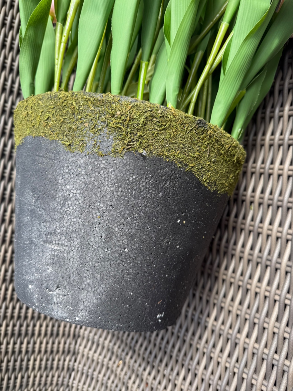 Frontgate Tulip Urn Filler - NWT - Picture 15 of 16